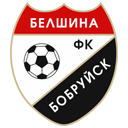 Белшина Бобруйск